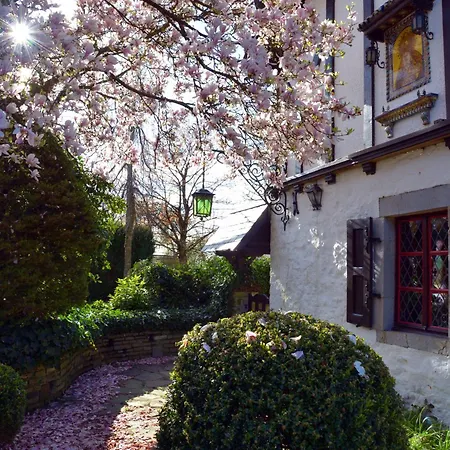 Insolites A Manoir De Maubert Ferienhaus